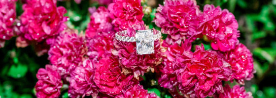 engagement ring and flowers